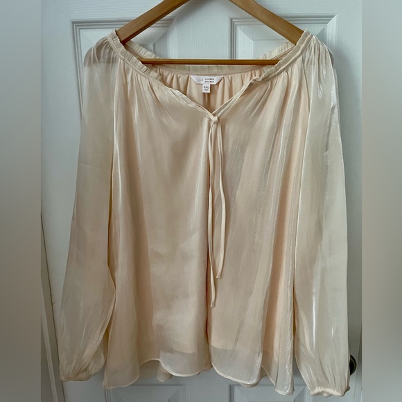 Lauren Conrad, XXL, light pink shiny lined sheer blouse. - Picture 1 of 6